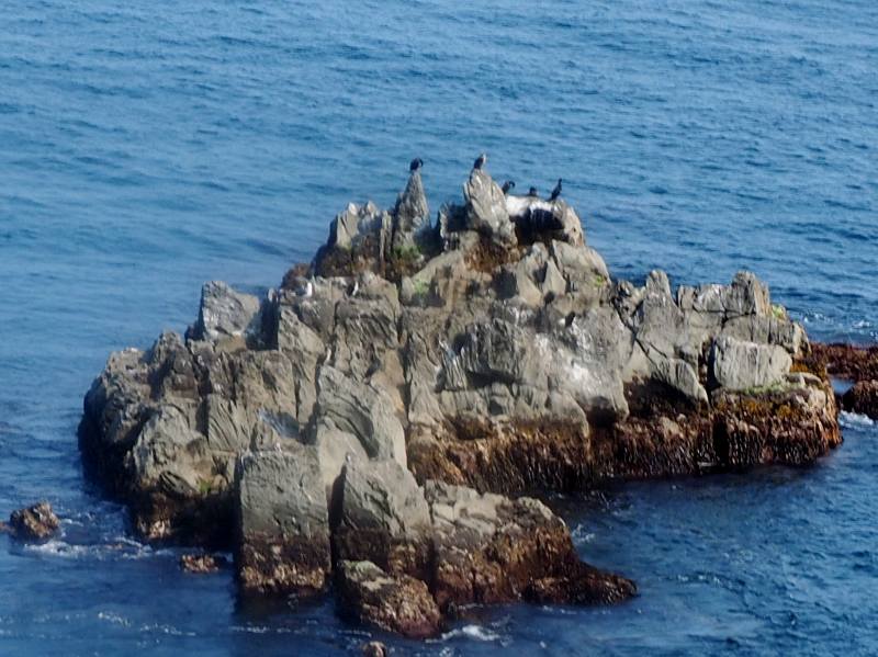 c0183777_17351387.jpg