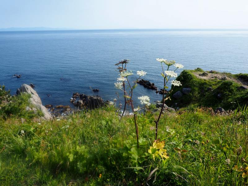 c0183777_1735194.jpg