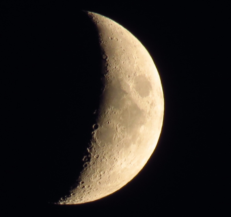 c0183777_1748093.jpg