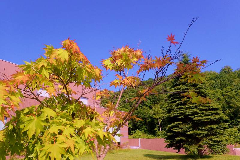 c0183777_18101655.jpg