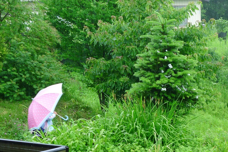 a0130586_08001636.jpg