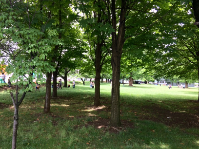 f0357487_21412014.jpg