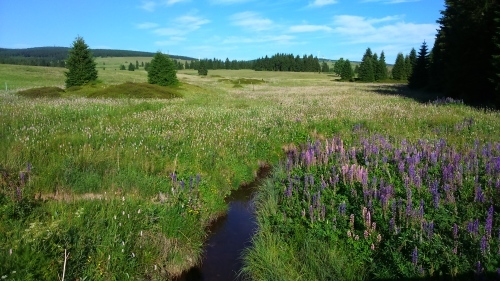 e0151592_07593954.jpg