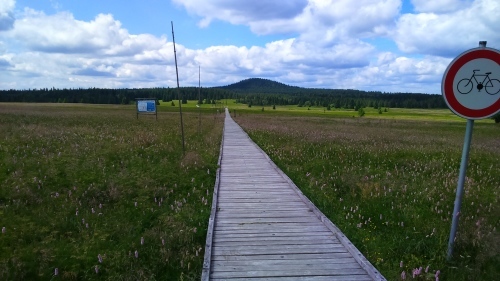 e0151592_08131954.jpg