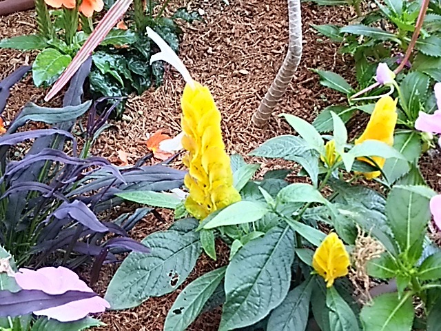 f0303594_20562894.jpg