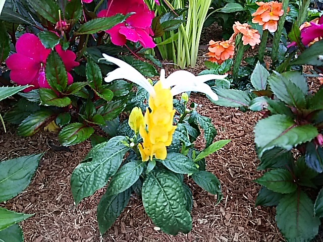 f0303594_20564071.jpg