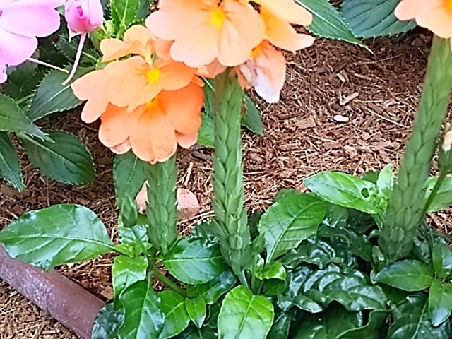 f0303594_20570304.jpg