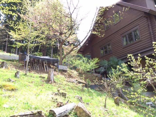 d0240201_17594597.jpg