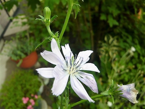 c0112206_11475100.jpg