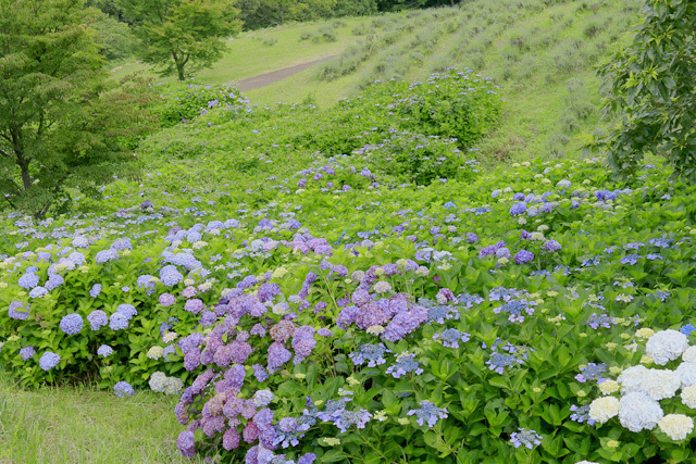 b0014607_21485729.jpg