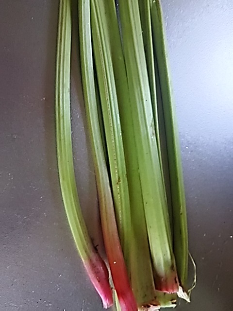 f0316507_18035080.jpg