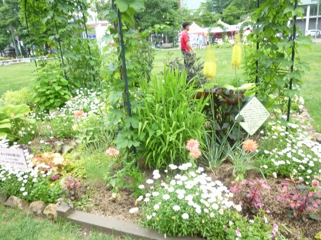 b0198109_20364670.jpg