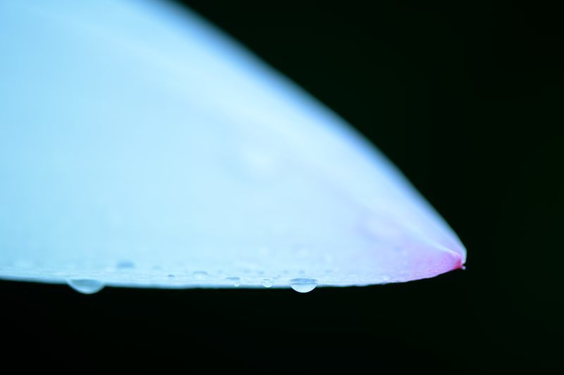 f0032011_19245565.jpg