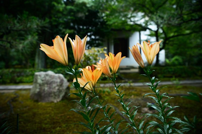 f0032011_19274894.jpg