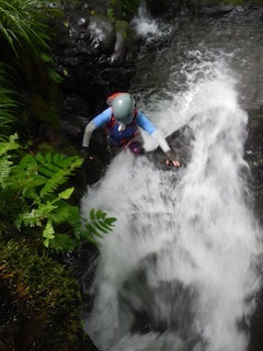 c0359615_22263746.jpg