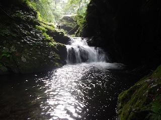 c0359615_22264825.jpg