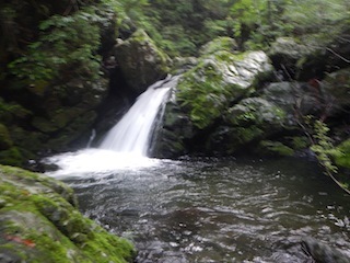 c0359615_22271625.jpg