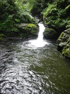 c0359615_22282811.jpg