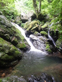 c0359615_22285755.jpg