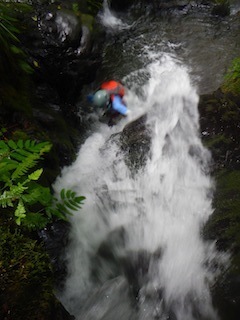 c0359615_22292813.jpg