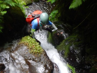 c0359615_22294815.jpg