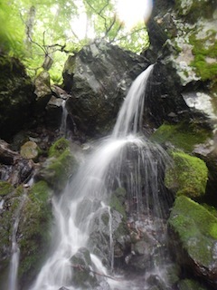 c0359615_22301051.jpg