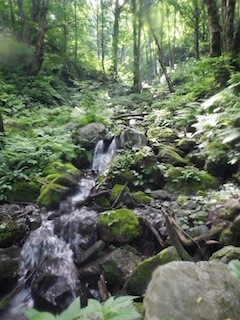 c0359615_22304496.jpg