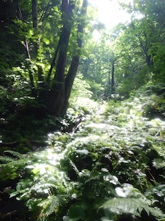 c0359615_22310775.jpg