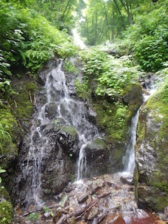 c0359615_22312068.jpg