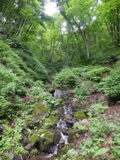 c0359615_22313743.jpg