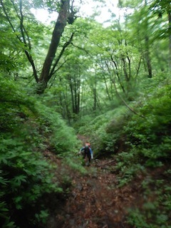 c0359615_22315425.jpg