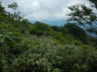 c0359615_22330886.jpg