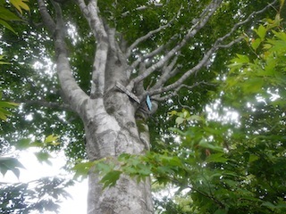 c0359615_22332625.jpg