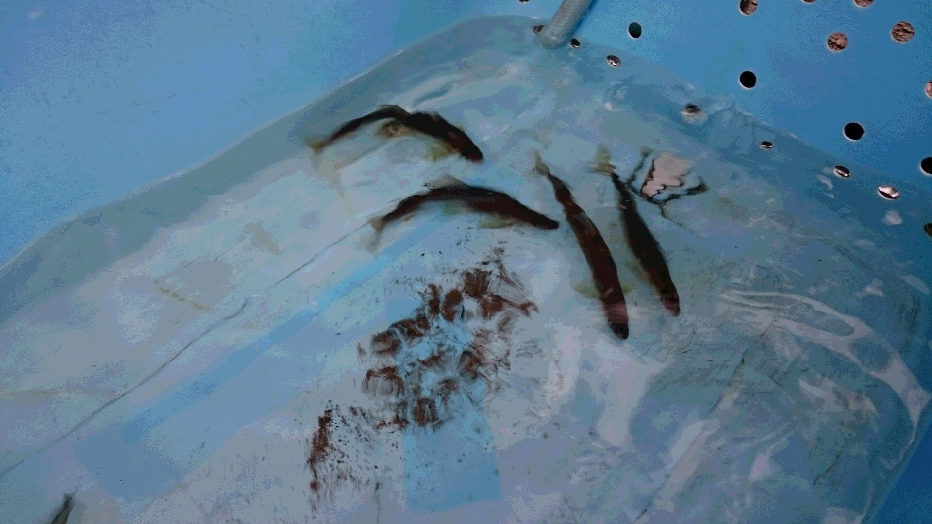c0221718_15090997.jpg