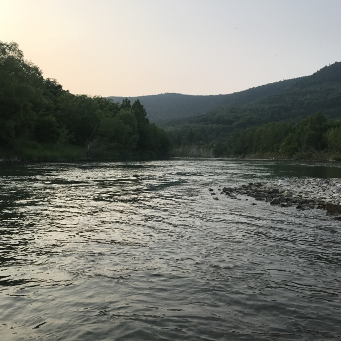 a0245819_20202150.jpg