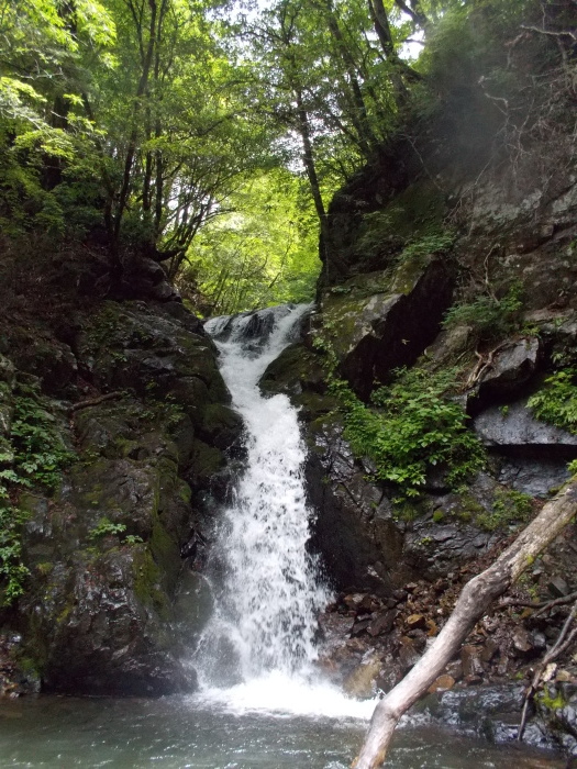 b0037220_21531894.jpg