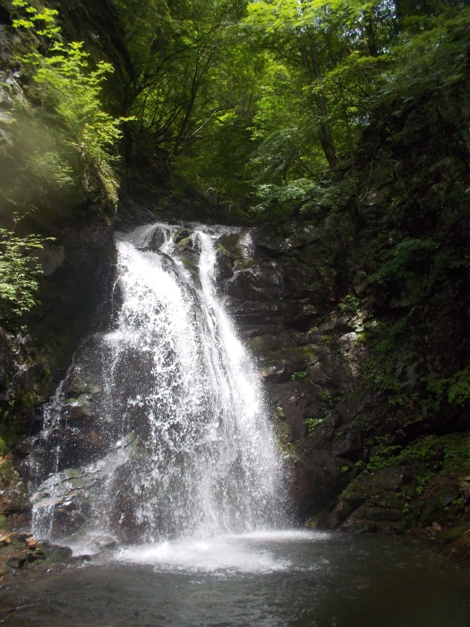 b0037220_21561027.jpg
