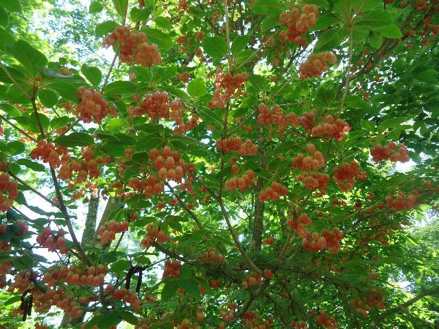 b0248920_08303567.jpg