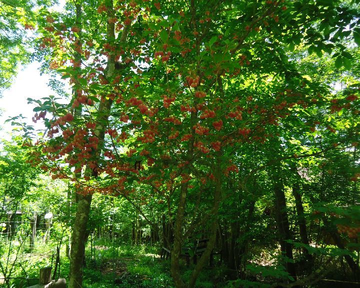 b0248920_08354226.jpg