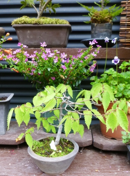 f0000521_07215831.jpg