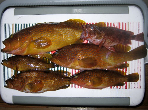 f0373728_07542723.jpg