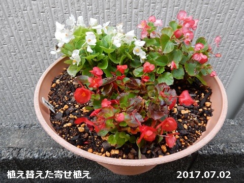 e0033229_18431574.jpg
