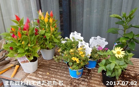 e0033229_19114783.jpg
