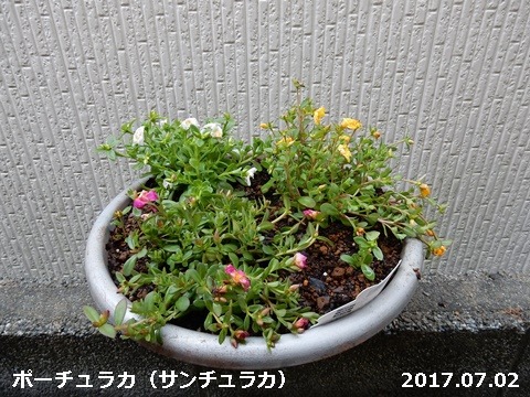 e0033229_19192541.jpg