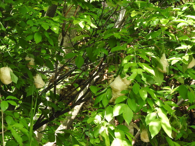 f0118332_12575018.jpg