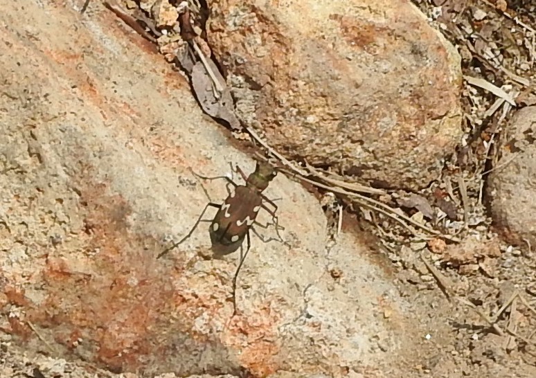 f0118332_12585049.jpg