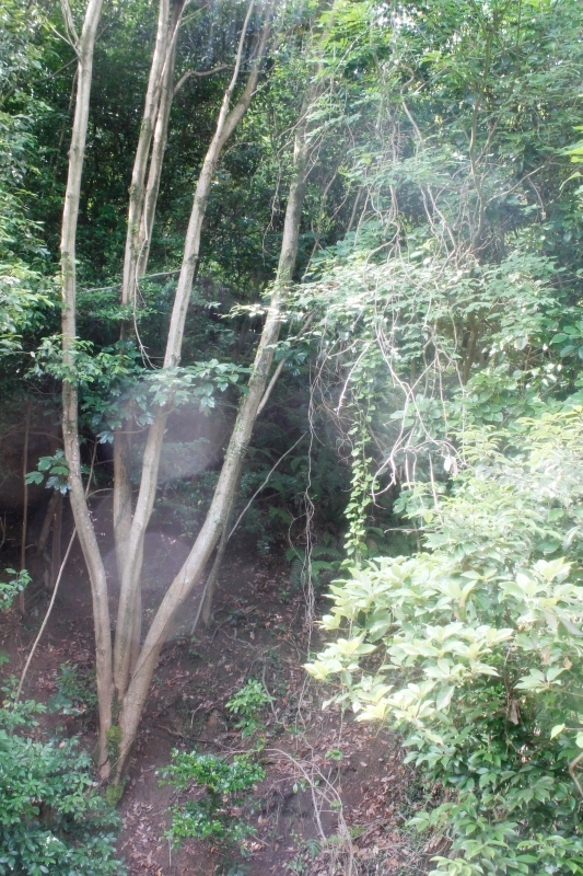 f0323833_12292114.jpg