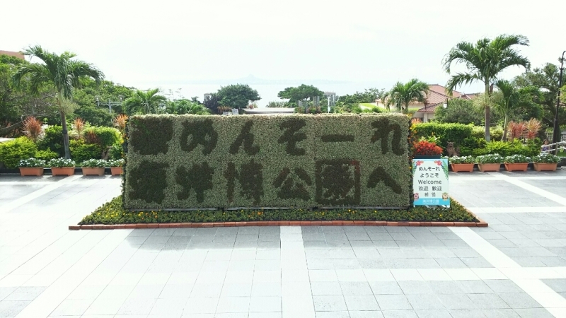 e0305834_20443336.jpg
