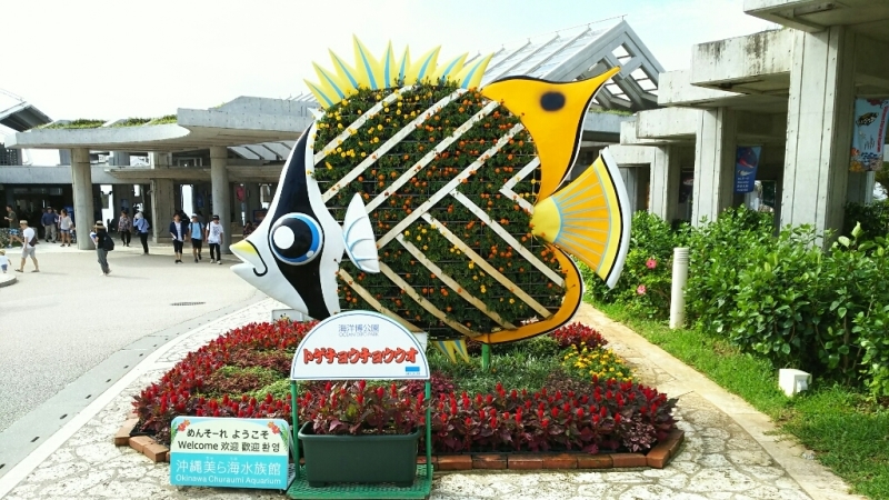 e0305834_21142346.jpg