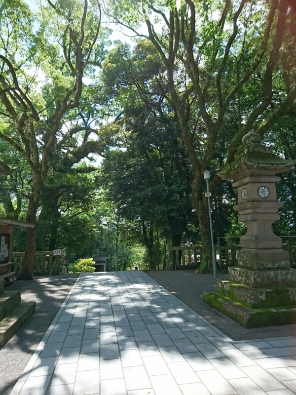 f0378646_15555435.jpg